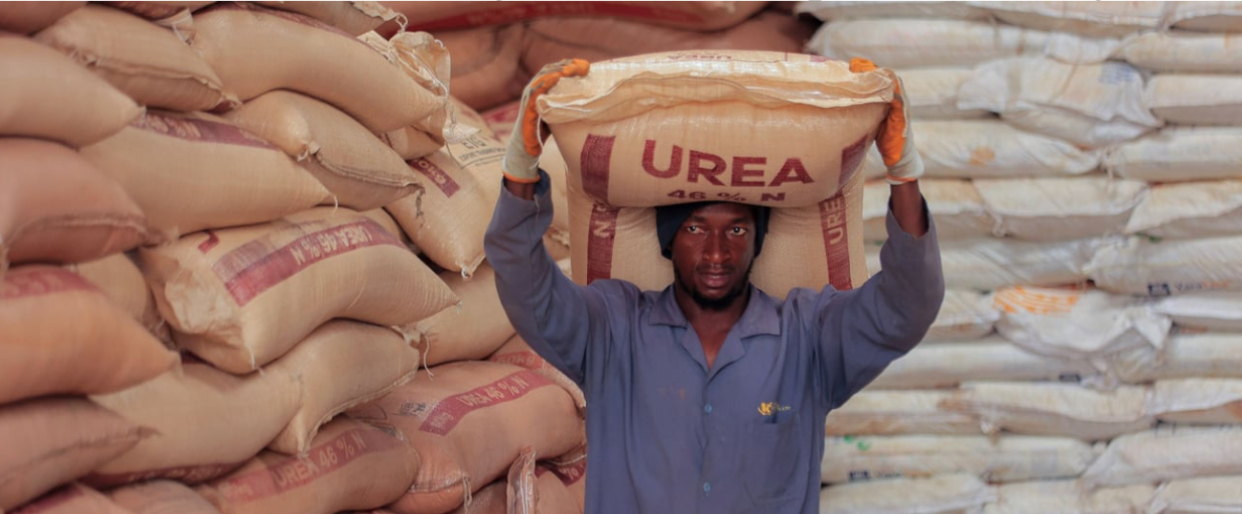 AFRIQUE : Mesures urgentes face aux pénuries d’engrais