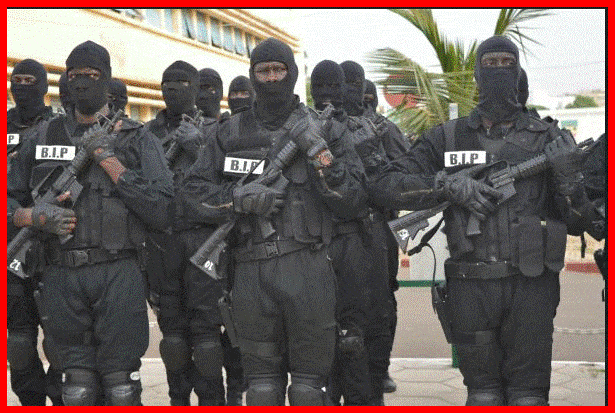 RECOMPENSES DU PRESIDENT AUX LIONS, A LA FEDERATION ET AU STAFF A LA CAN DU MAROC : Les 04 éléments de la Bip n’ont pas reçu leur argent