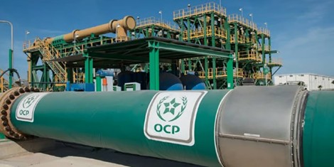 OCP lève 5 milliards de dirhams sur le marché obligataire
