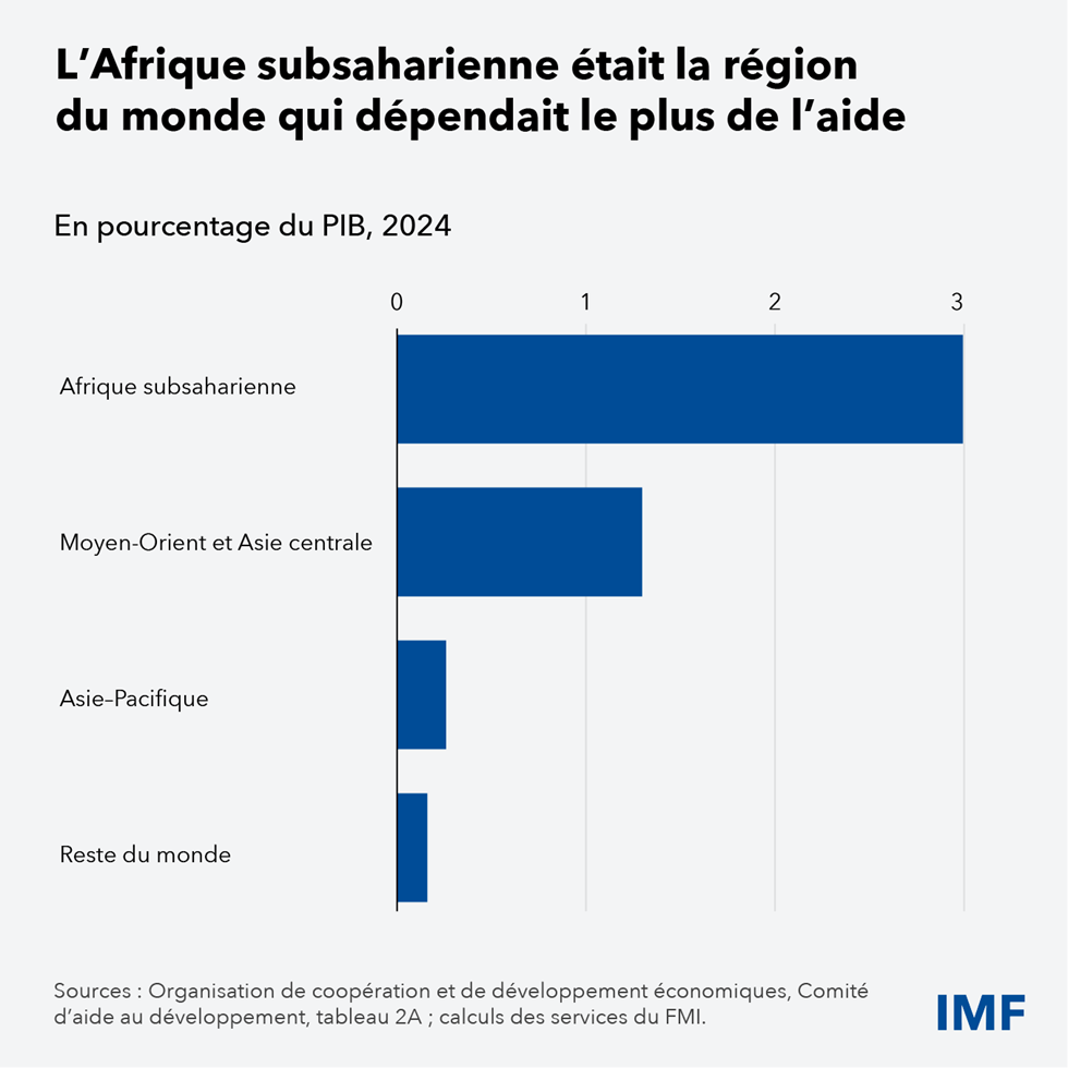 L’aide diminue rapidement. Que peuvent faire les pays africains ?