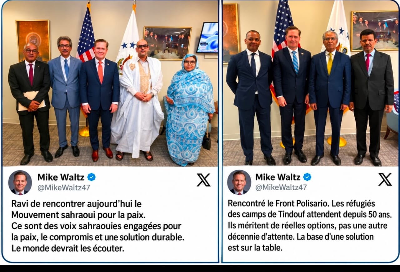 Le Polisario après la rencontre avec Waltz : ce que Sidi Mohamed Ammar n’a pas dit